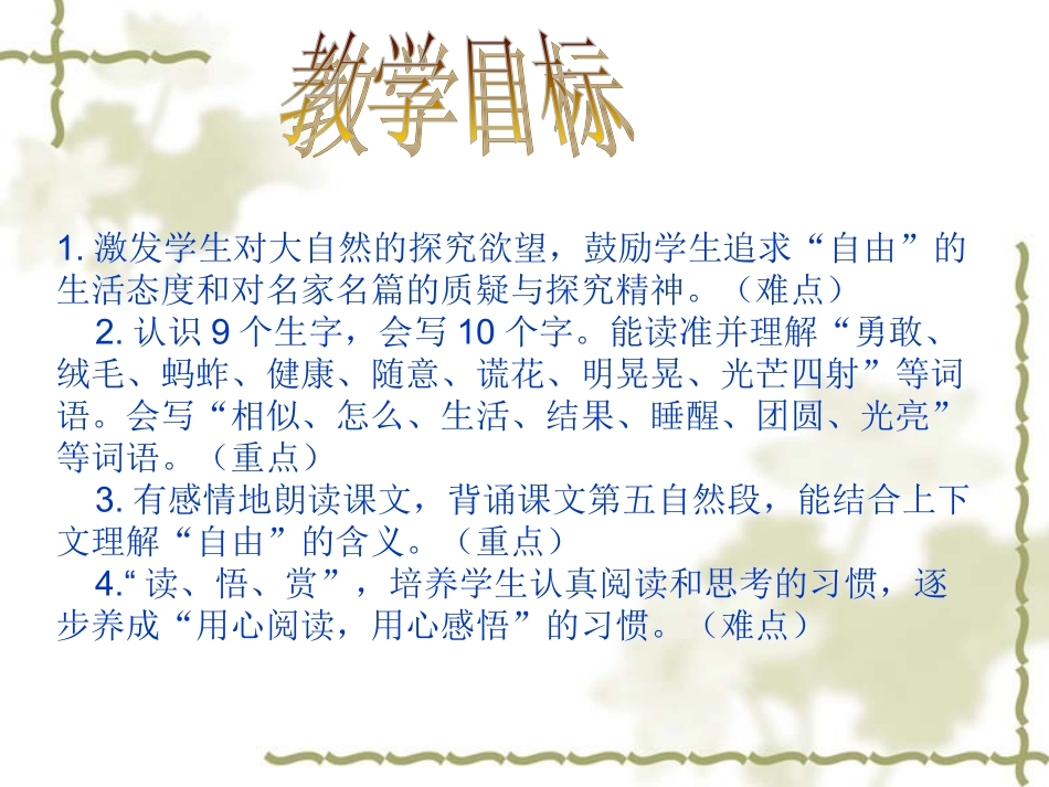 乡村里的大花园23_第2页