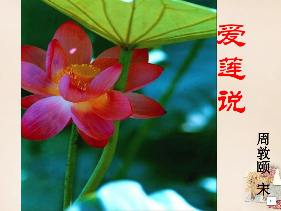 《爱莲说》微课课件_第1页