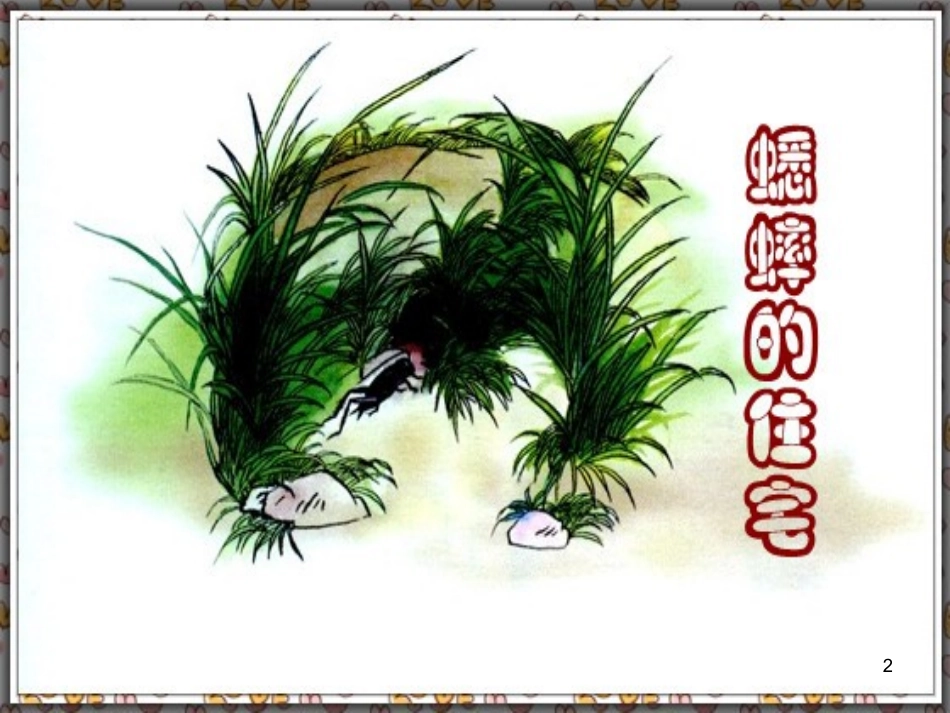人教版四年级语文上册7.蟋蟀的住宅(精品课件)ppt_第2页