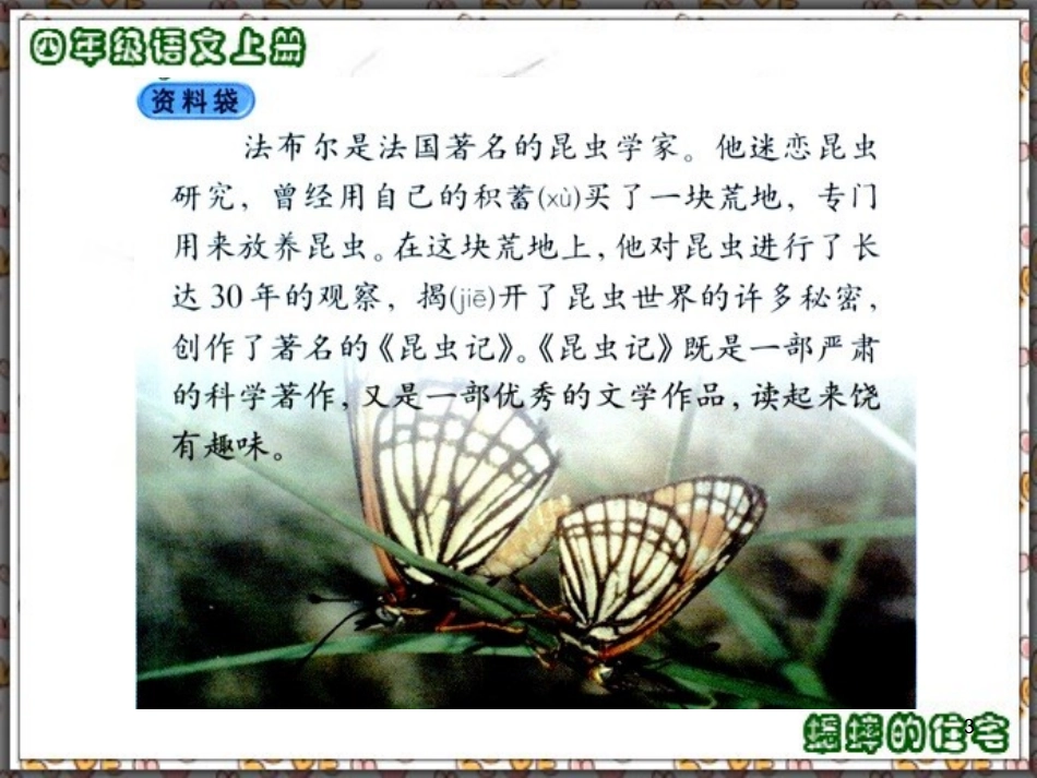 人教版四年级语文上册7.蟋蟀的住宅(精品课件)ppt_第3页