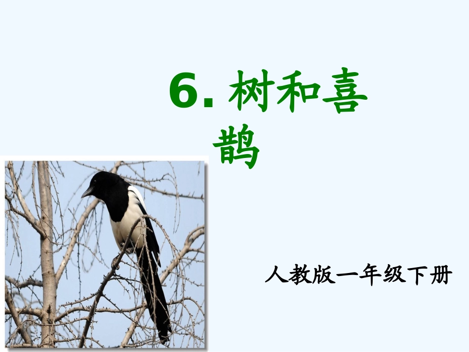 (部编)人教语文2011课标版一年级下册《树和喜鹊》第一课时_第1页