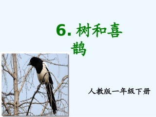 (部编)人教语文2011课标版一年级下册《树和喜鹊》第一课时