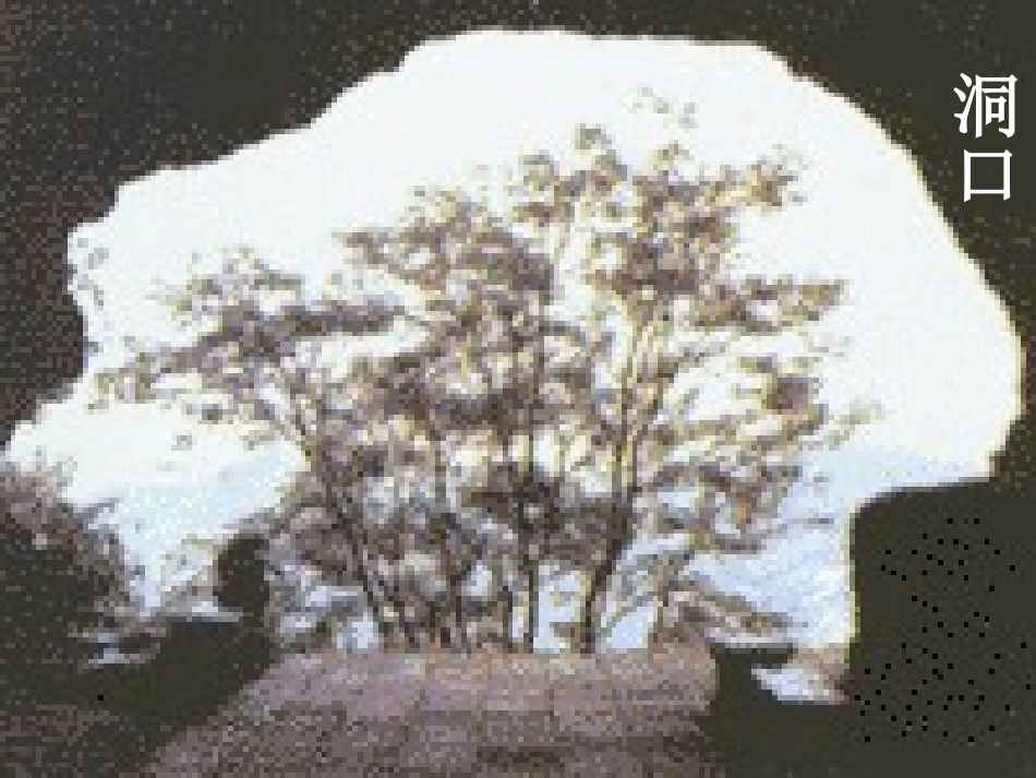 记金华的双龙洞(课件)_第3页