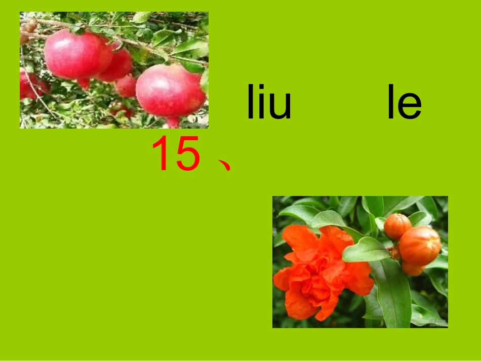 74小学一年级上册语文石榴笑了_第2页