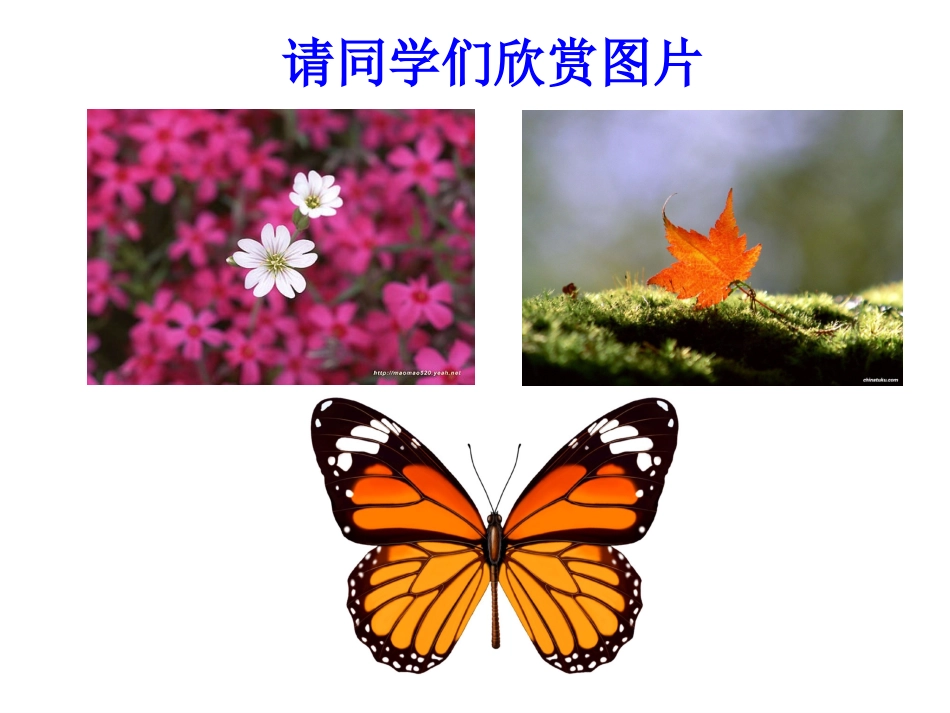 轴对称.1轴对称(一)课件_第3页