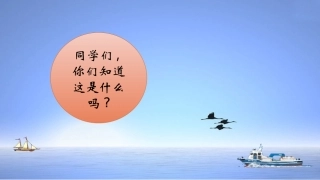 《小鸟》课件2