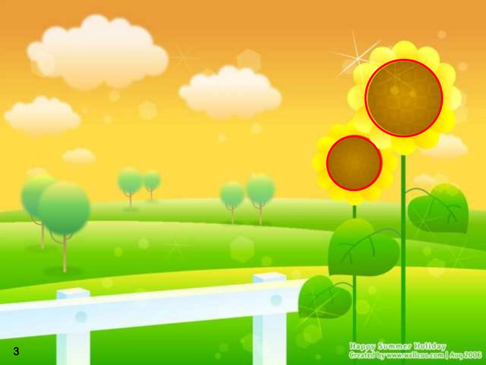 244圆的认识课件_第3页