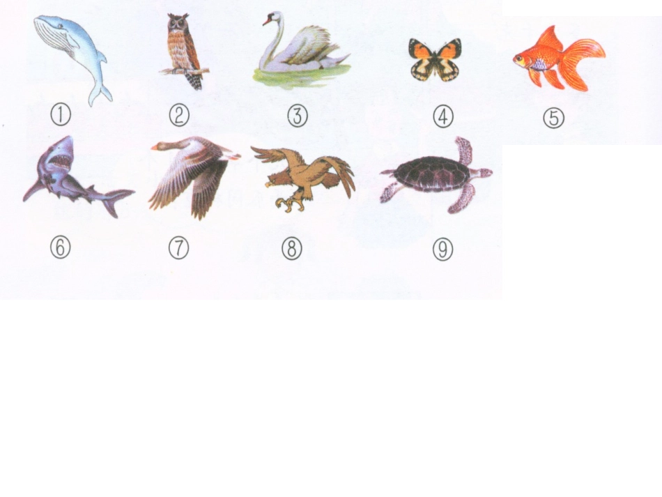 重叠问题的课件_第2页