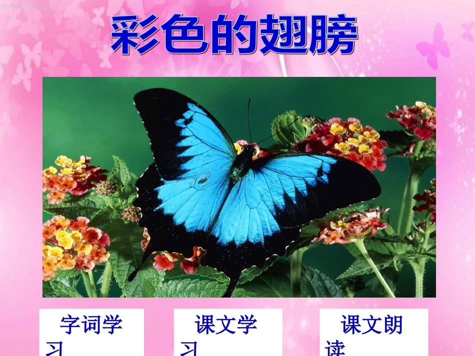 7、彩色的翅膀_第1页