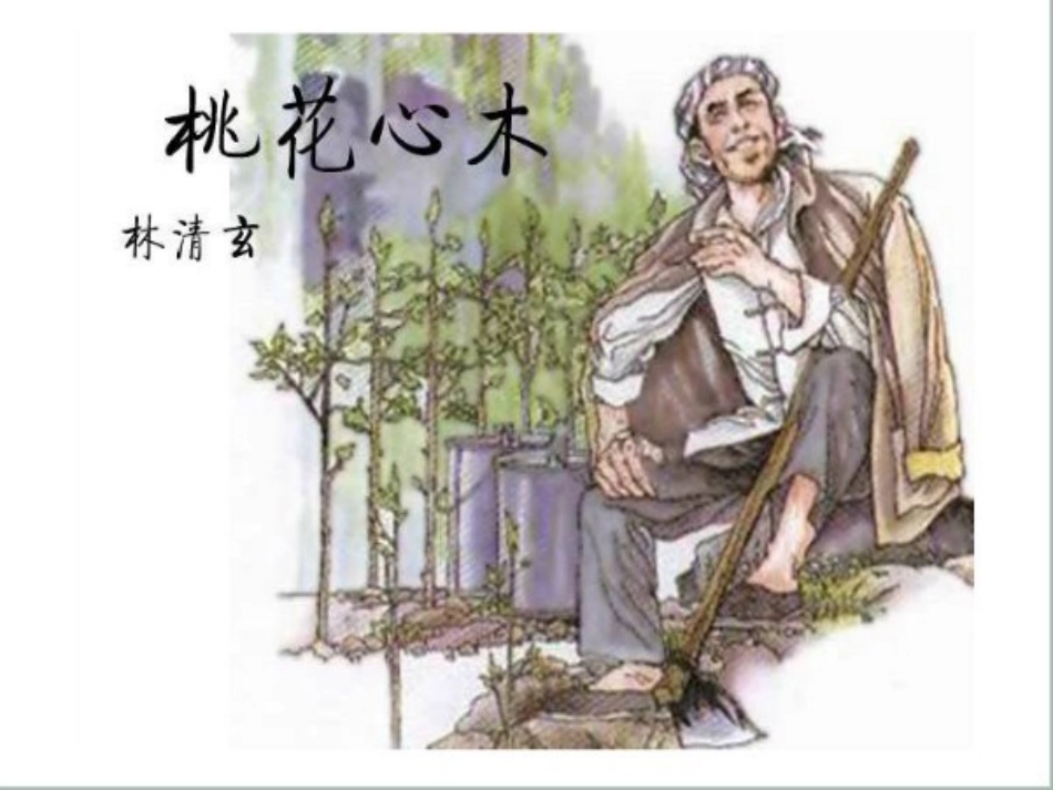 《桃花心木》ppt课件(完整)_第1页