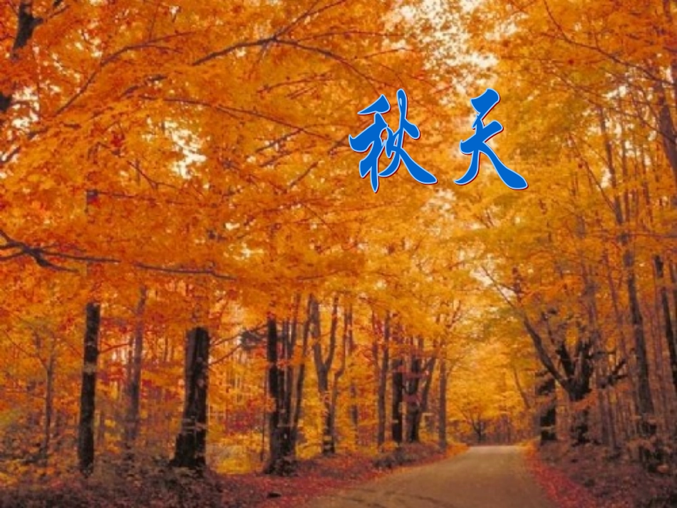 落叶(语言)_第2页