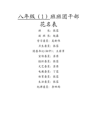 八1班团干部花名表