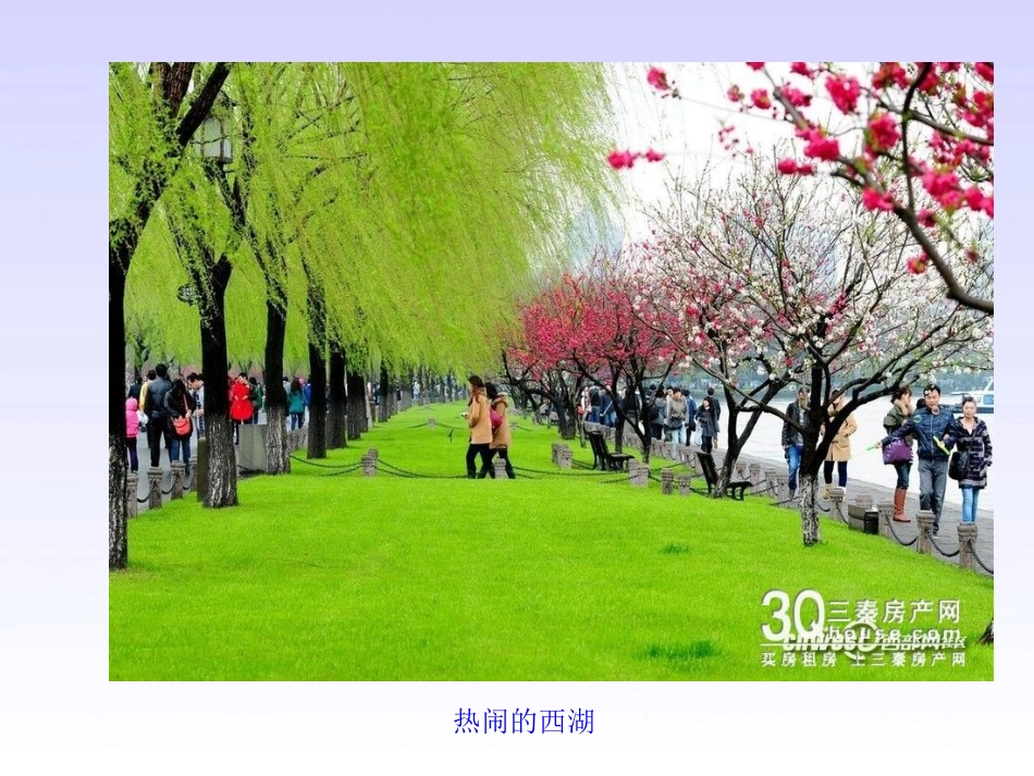 饮湖上初晴后雨(修改版)_第3页