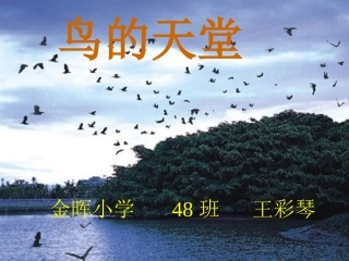 《鸟的天堂》ppt