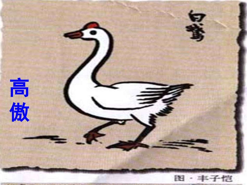 14、白公鹅_第1页