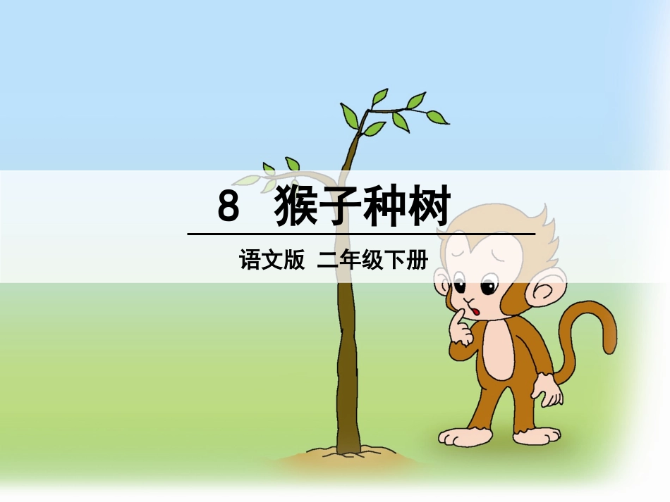 8-猴子种树_第1页