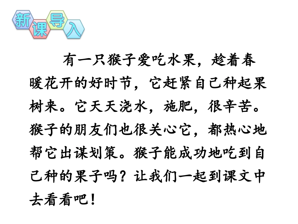 8-猴子种树_第2页