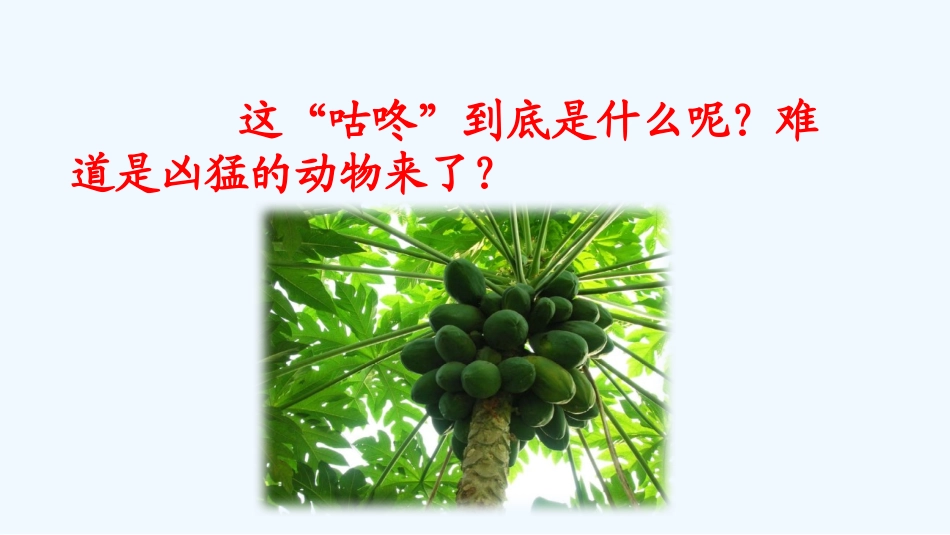 (部编)人教语文2011课标版一年级下册《咕咚》课件-(2)_第3页