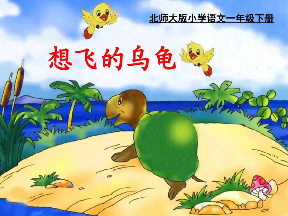 想飞的乌龟课件_第2页