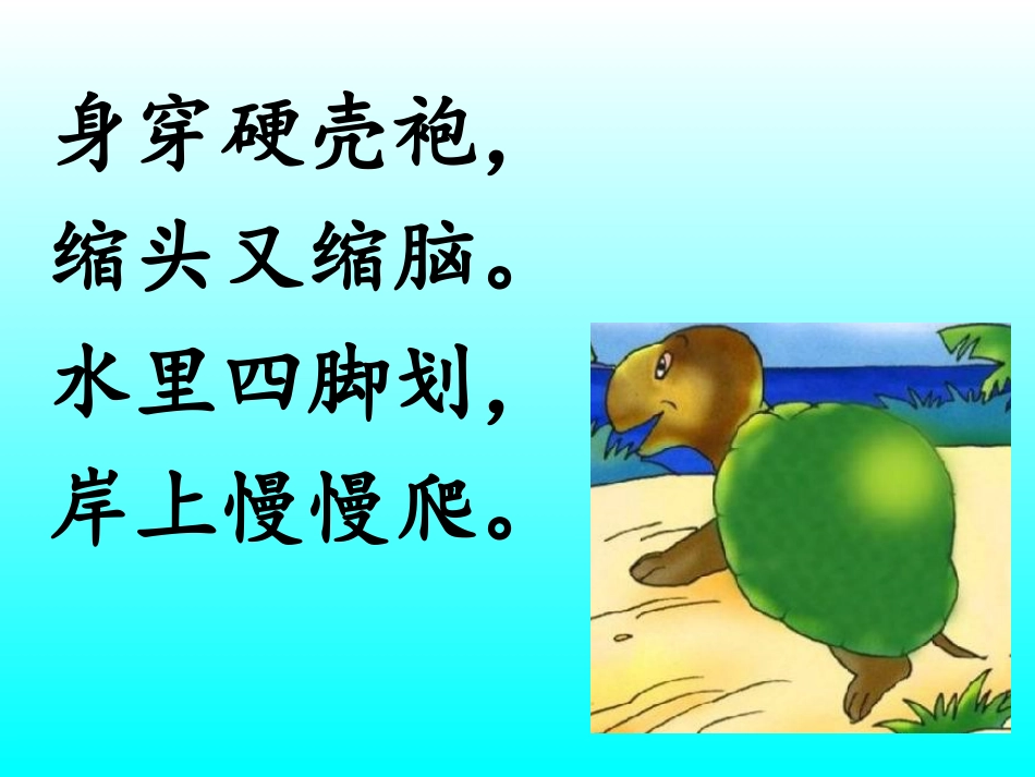想飞的乌龟课件_第3页