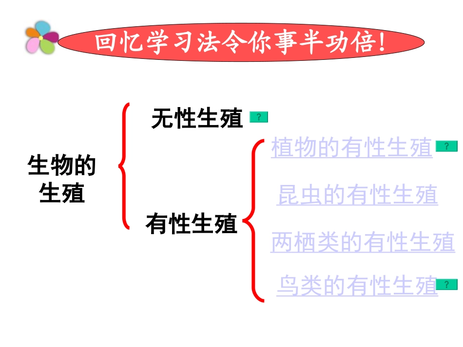 苏教版第14章-生物的生殖与发育_复习课件_第2页