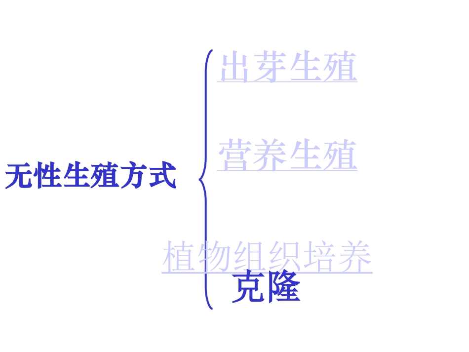 苏教版第14章-生物的生殖与发育_复习课件_第3页