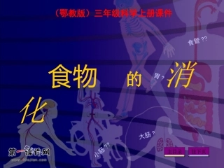 (鄂教版)三年级科学上册课件_食物的消化_1