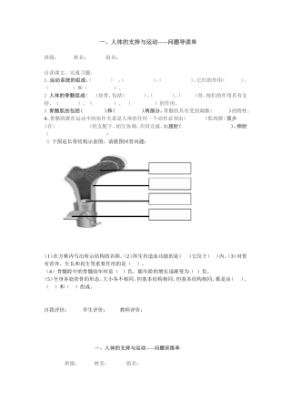 人体的自持与运动