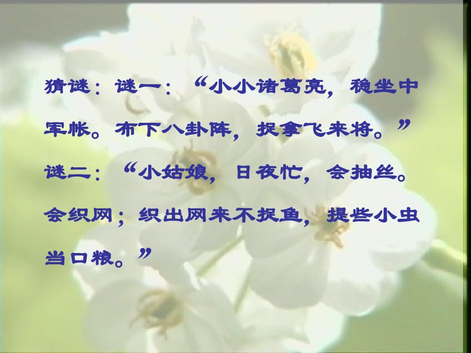 绿色蝈蝈课件新人教版七年级上_第2页