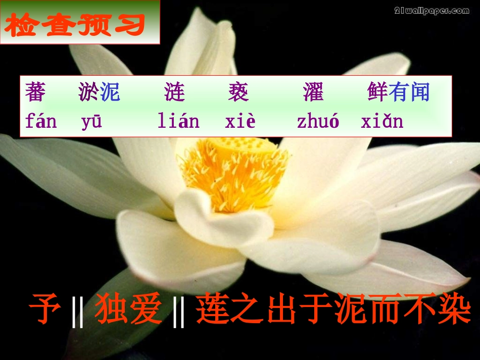 爱莲说-(7)_第2页