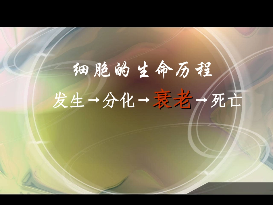 细胞的衰老和凋亡课件_第2页
