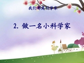 第一单元(2)《做一名小科学家》