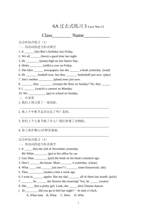 6A过去式练习3