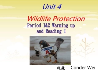魏巍必修二Unit4Wildlifeprotection