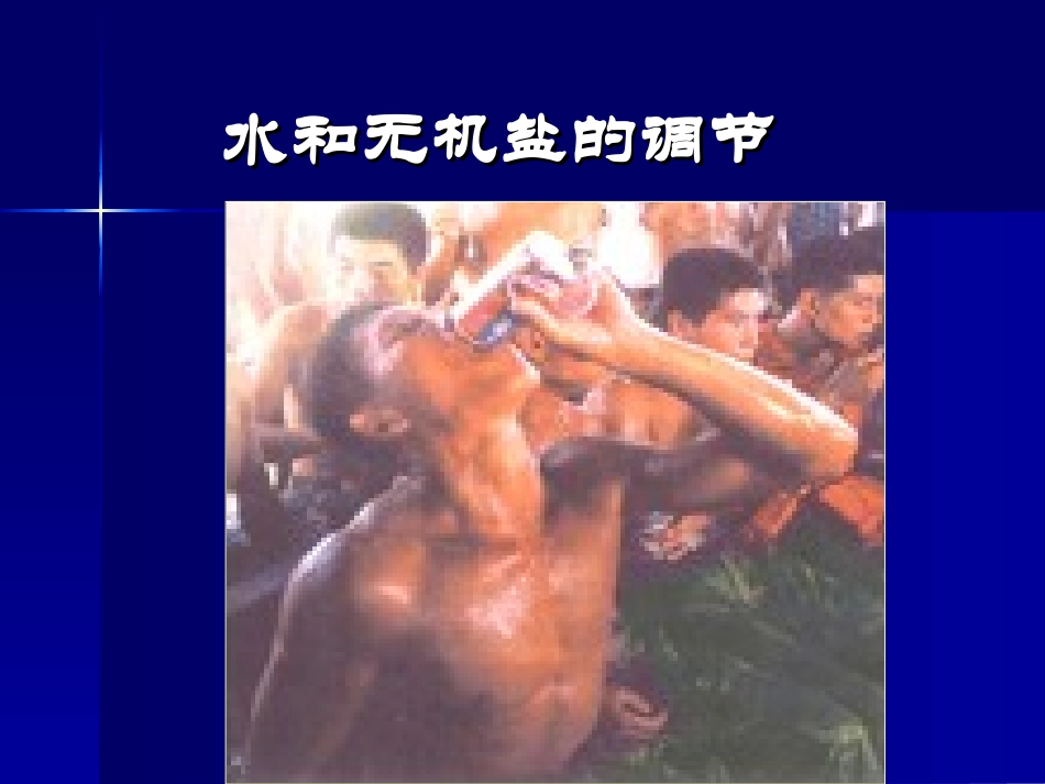 水和无机盐的调节_第1页