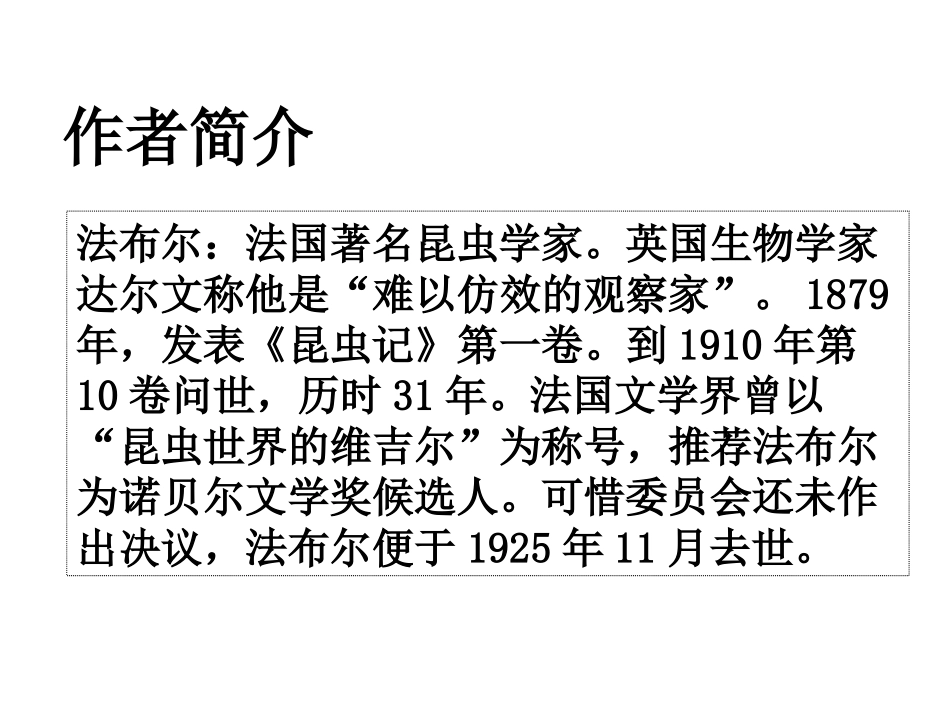《意大利蟋蟀》课件_第3页