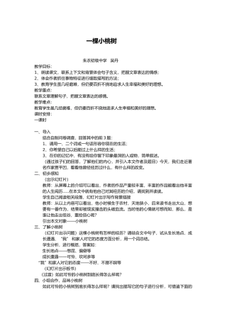 (部编)初中语文人教2011课标版七年级下册一棵小桃树教学设计-(6)