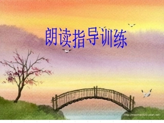 朗读指导及训练