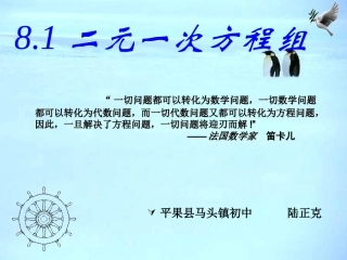 二元一次方程组课件 (2)