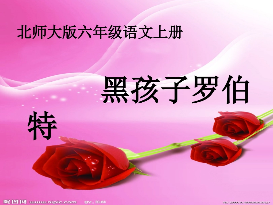 黑孩子罗伯特_第1页