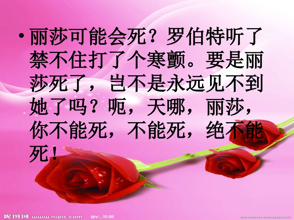 黑孩子罗伯特_第3页