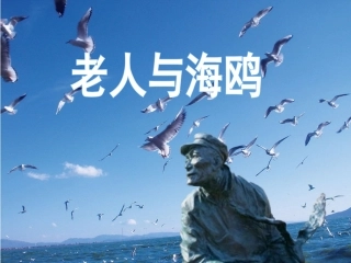 老人与海鸥导学版