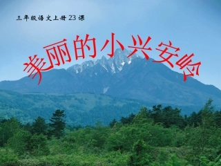 三年级语文上册课件美丽的小兴安岭