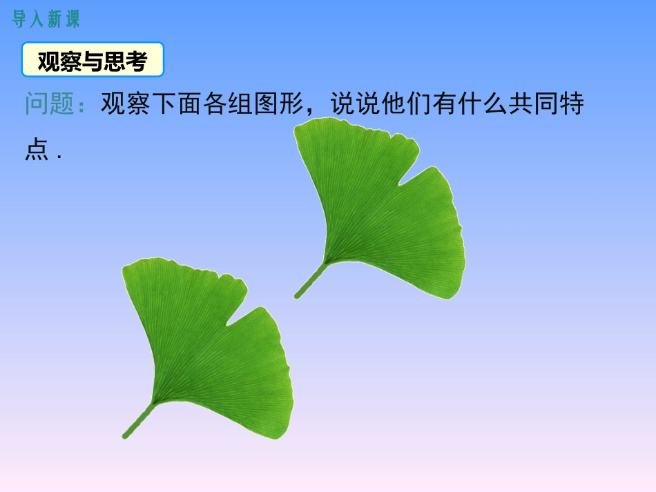 2.5-第1课时-全等三角形及其性质_第2页