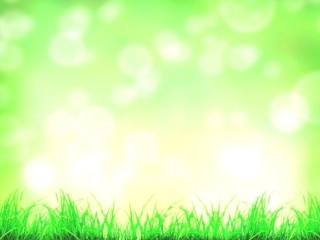 教科版初中二年级思想品德上册第三课时课件