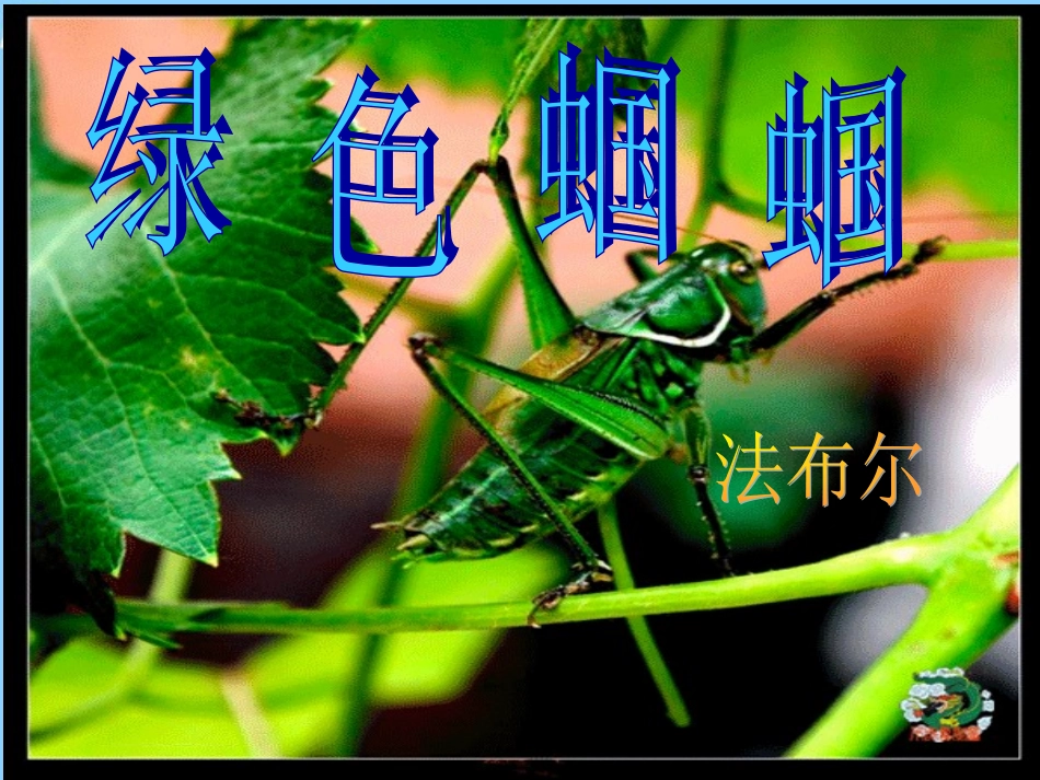 七年级语文上册《第23课绿色蝈蝈》课件（新版）新人教版_第2页