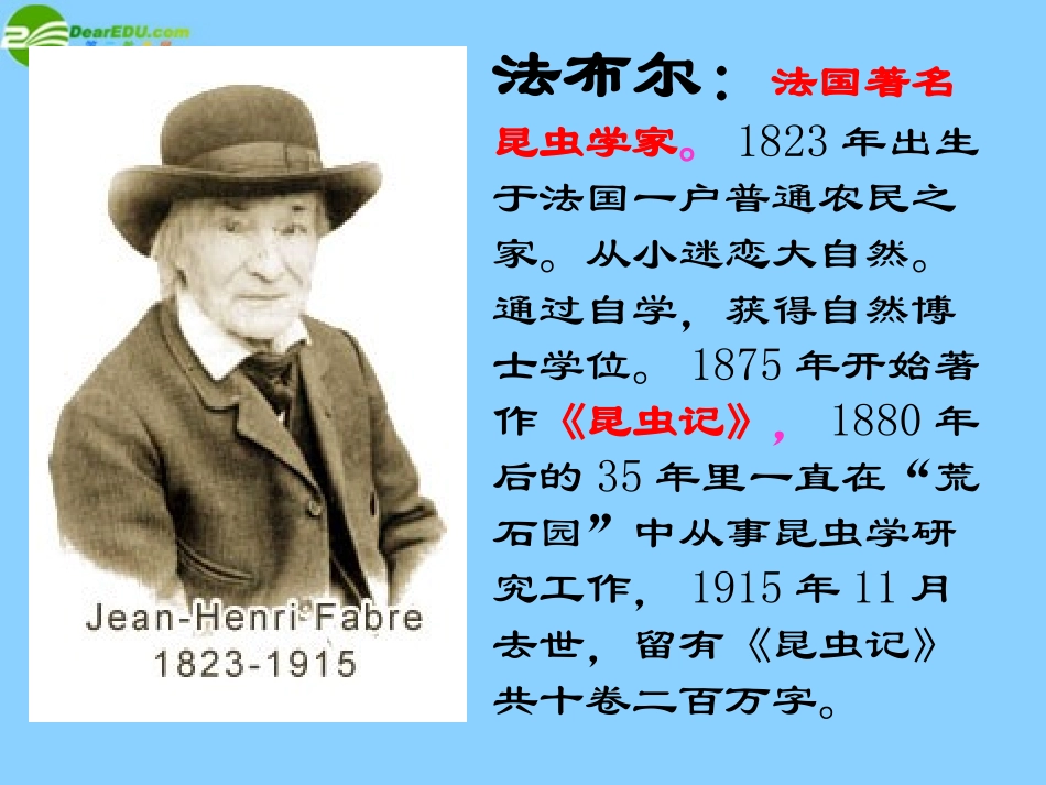 七年级语文上册《第23课绿色蝈蝈》课件（新版）新人教版_第3页