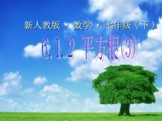 6.1平方根(3)李晓娜