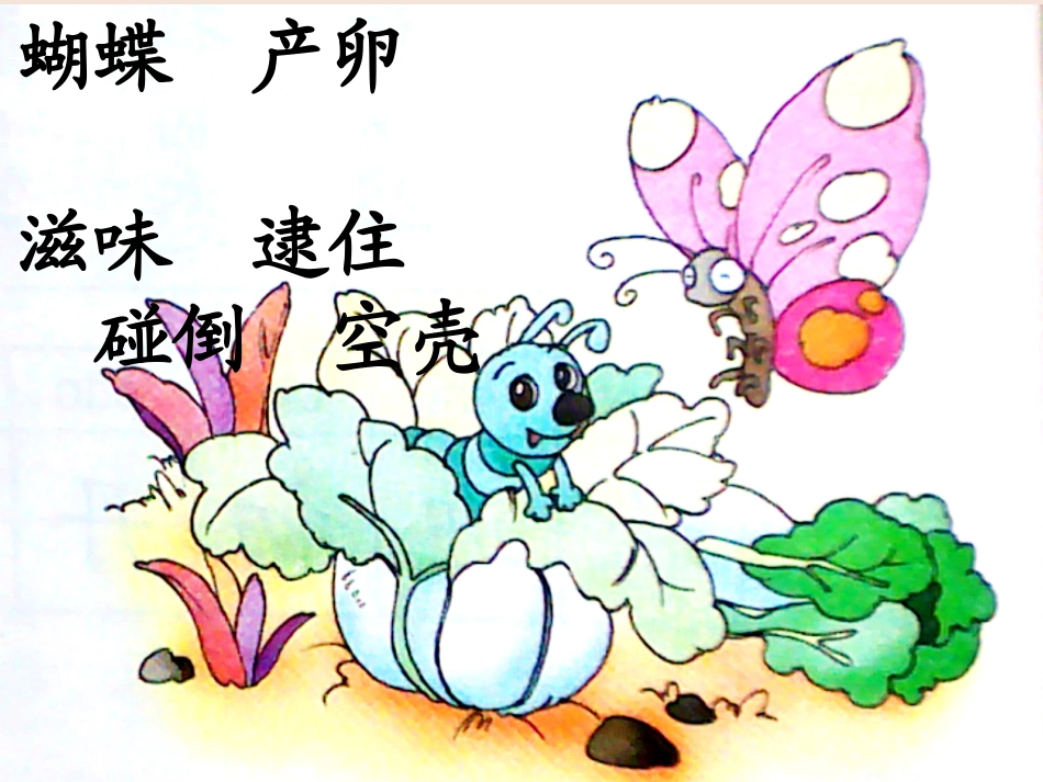 l篓子里的青虫_第2页