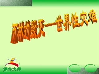 雨林的毁灭——世界性灾难